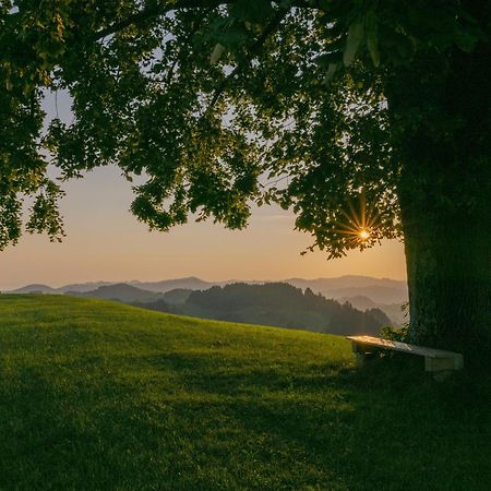 Vegan Health Hotel Sonnenberg Glutenfrei Schwellbrunn Dış mekan fotoğraf